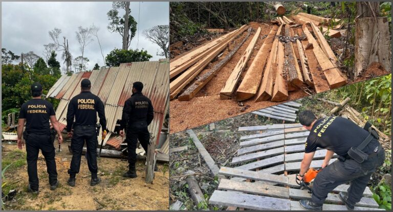 PF deflagra operação para combater crimes na Terra Indígena Igarapé Lage em Rondônia