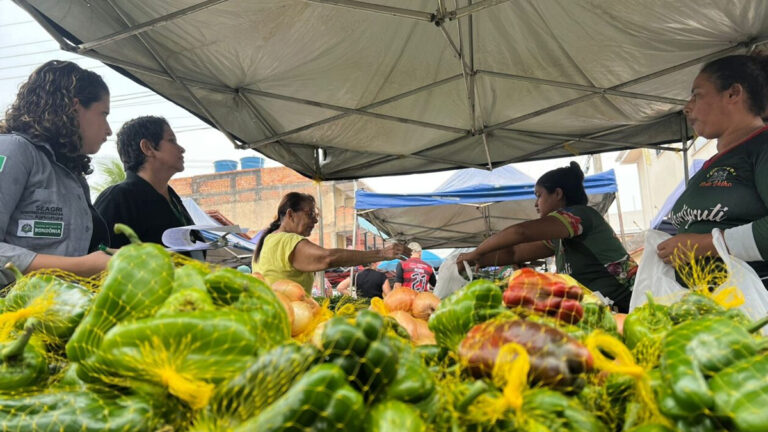 Programas de aquisição de alimentos garantem renda a centenas de agricultores familiares - News Rondônia