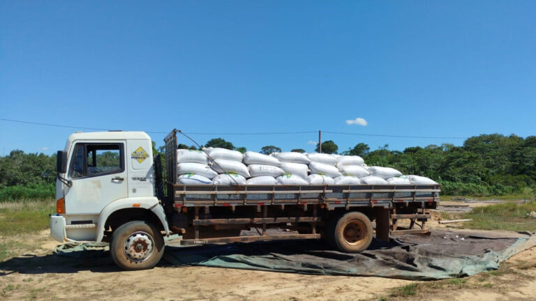 PROCAFÉ: Produtor rural que aderiu ao programa da Prefeitura de Porto Velho colheu 160 sacas de café - News Rondônia