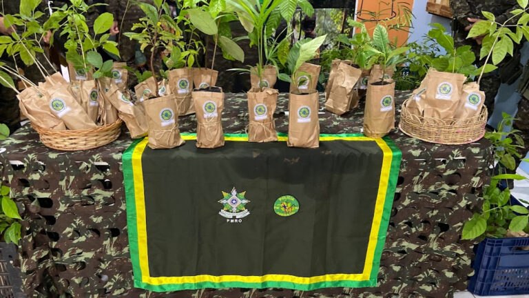 Distribuição de mudas e ações de educação ambiental movimentam Semana do Meio Ambiente - News Rondônia