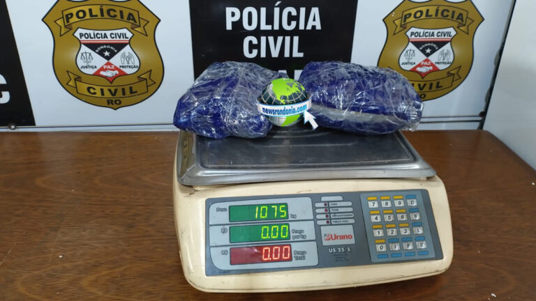 Denarc apreende droga em transportadora em Porto Velho - News Rondônia