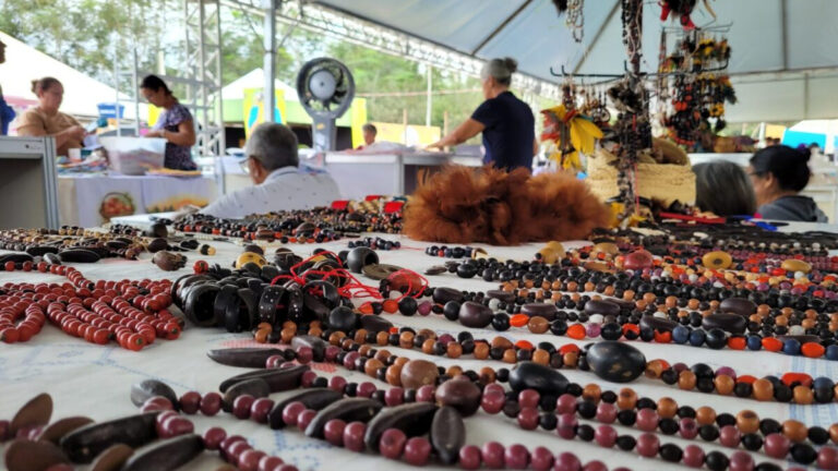 Inscrição para exposição e comercialização de artesanatos no Flor do Maracujá está aberta até 12 de junho - News Rondônia
