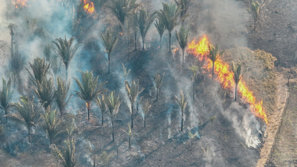 Prefeitura de Porto Velho alerta para o aumento de queimadas durante o período de estiagem - News Rondônia