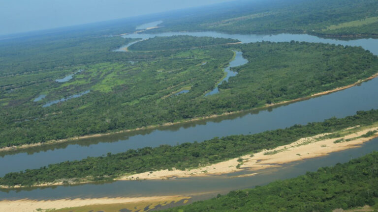 Conscientização e preservação ambiental são destacadas na abertura da Semana do Meio Ambiente - News Rondônia