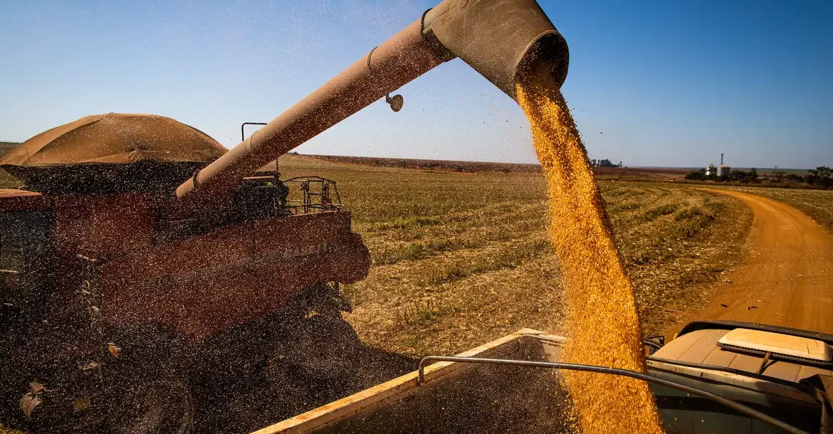 Brasil colherá 297,5 milhões de toneladas de grãos, estima a Conab