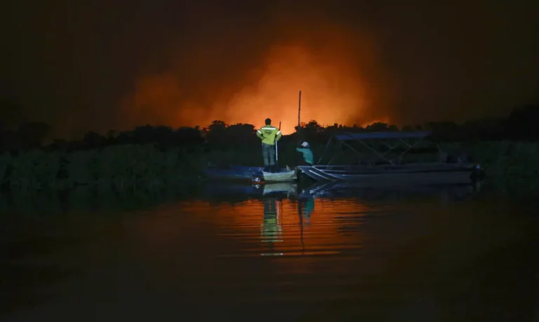 Combate às queimadas no Pantanal terá reforço nesta quinta-feira - News Rondônia