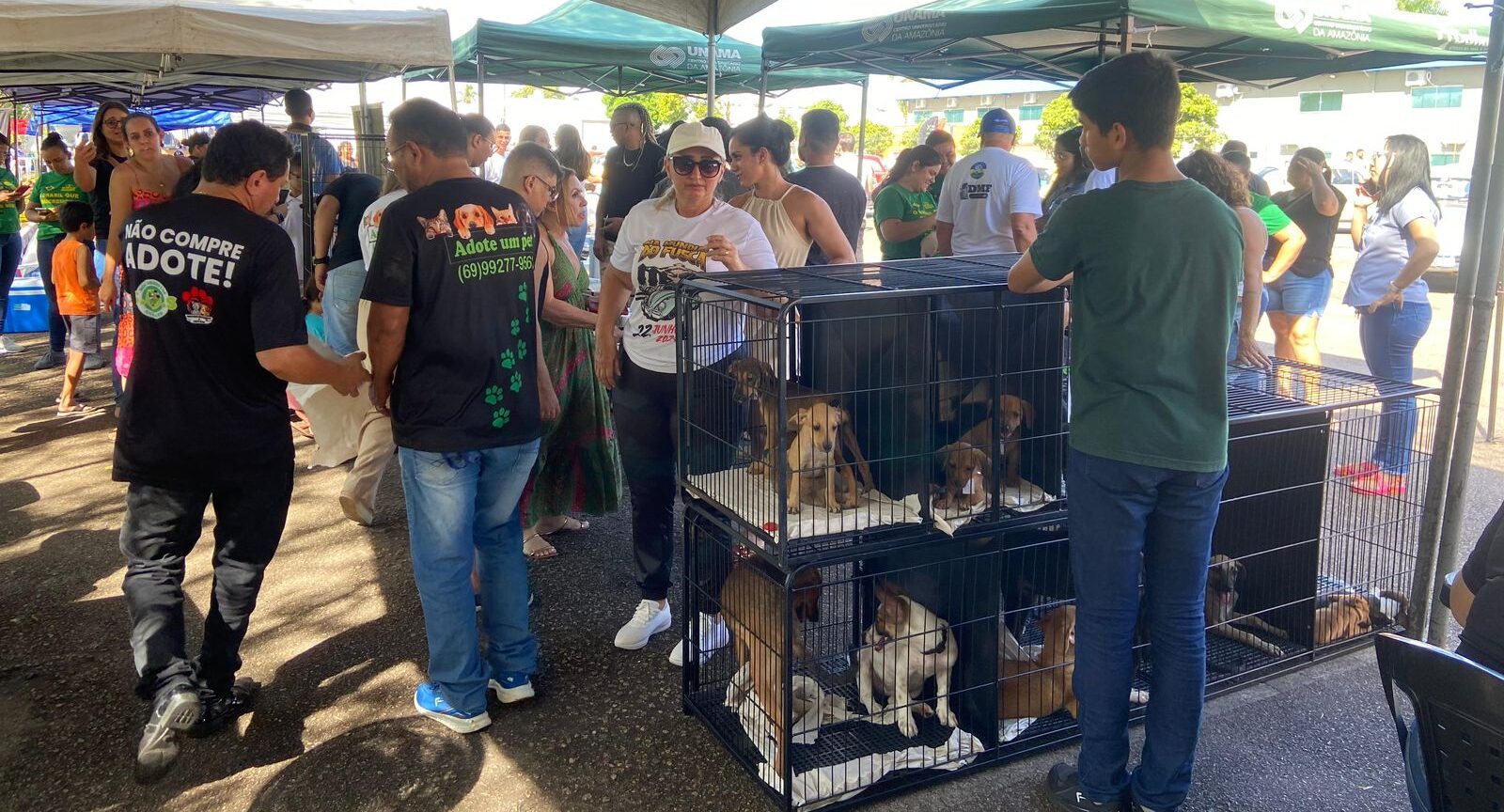 Vereadora Márcia Socorristas Animais prestigia feira de adoção de animais resgatados no Baixo Madeira