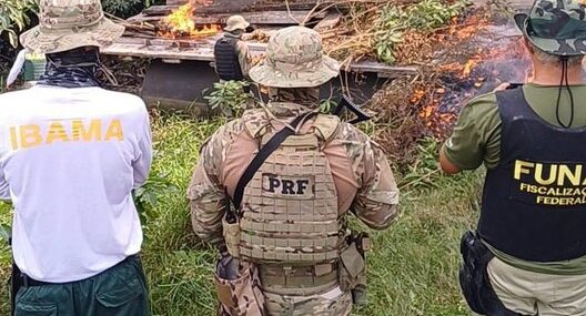 Em Rondônia, PRF participa de Operação para remoção de invasores da Terra Indígena Karipuna - News Rondônia Em Rondônia, PRF participa de Operação para remoção de invasores da Terra Indígena Karipuna