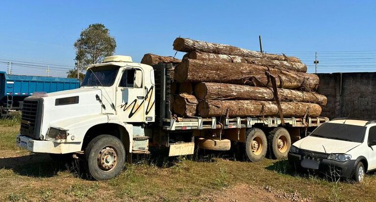 RETOMADA V: PF combate crimes ambientais na Terra Indígena Igarapé Lage em RO