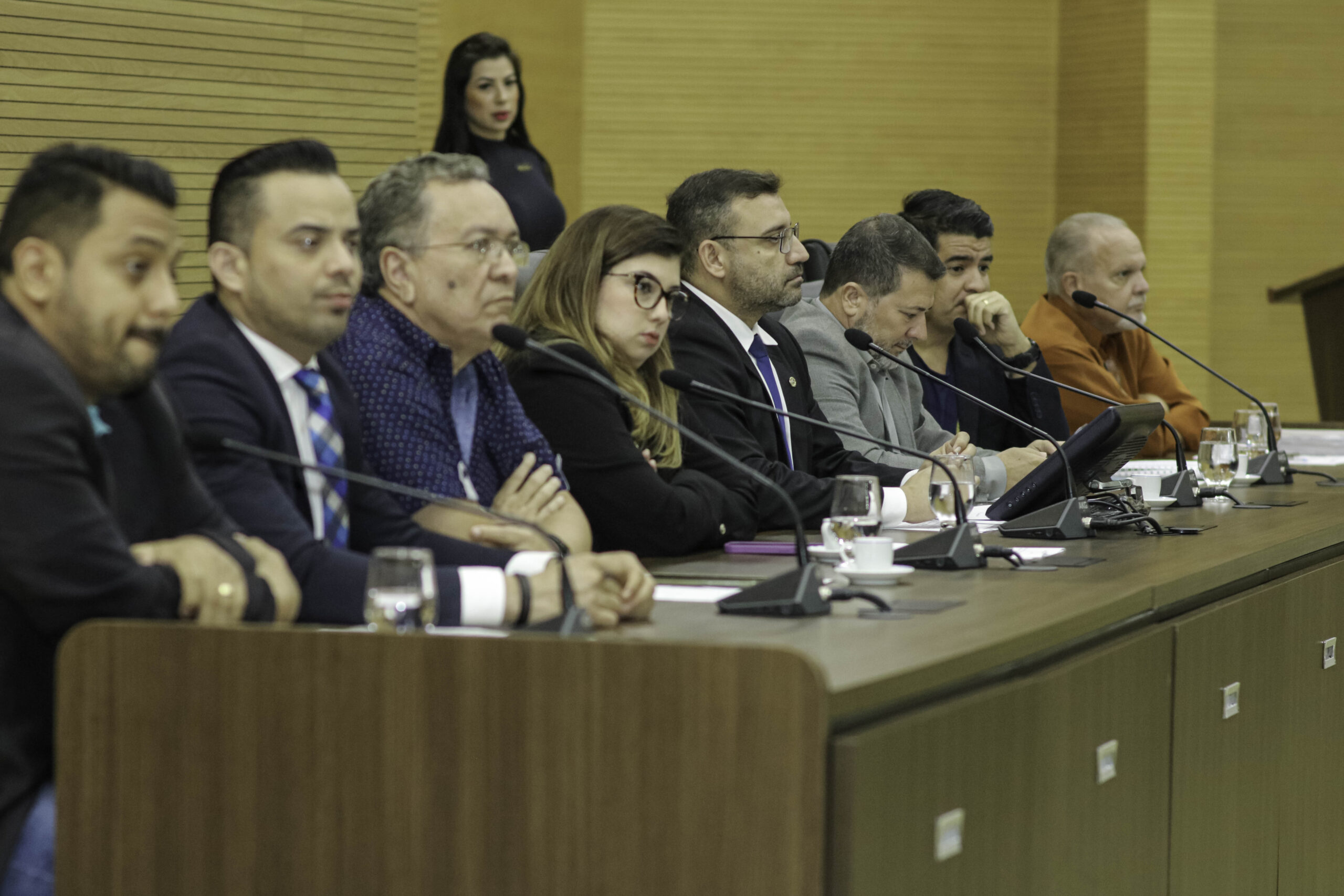 Assembleia Legislativa debate regularização fundiária da Vila São João em audiência pública - News Rondônia