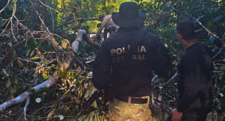XALAWATA: PF deflagra a operação em combate a crimes ambientais em RO