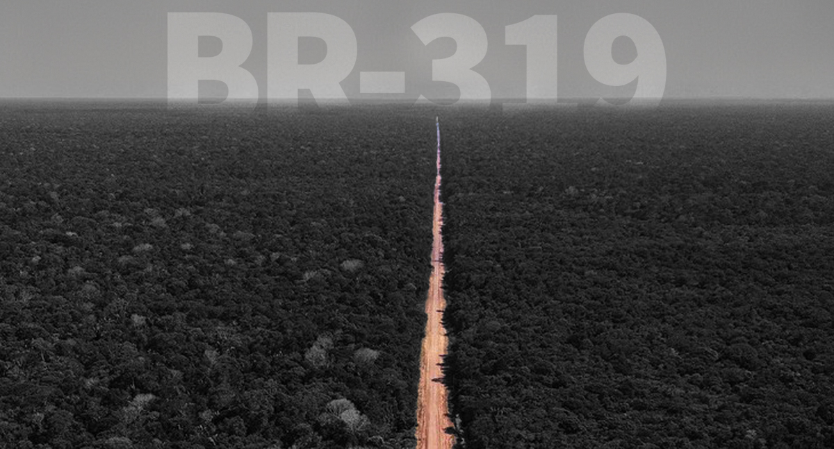 BR-319: Ministério dos Transportes divulga relatório do grupo de trabalho - News Rondônia