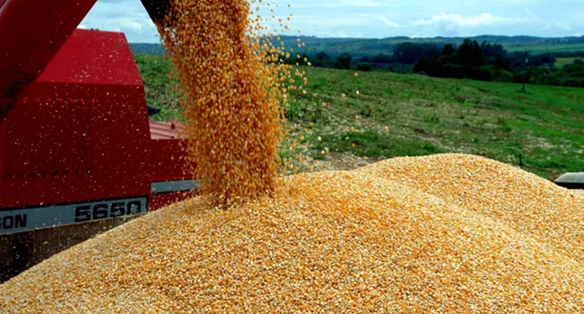 Nova estimativa da Conab traz produção de grãos em 297,54 milhões de toneladas