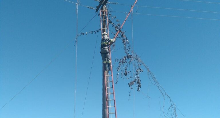 Megaoperação de manutenção da rede elétrica em Machadinho é concluída com sucesso - News Rondônia