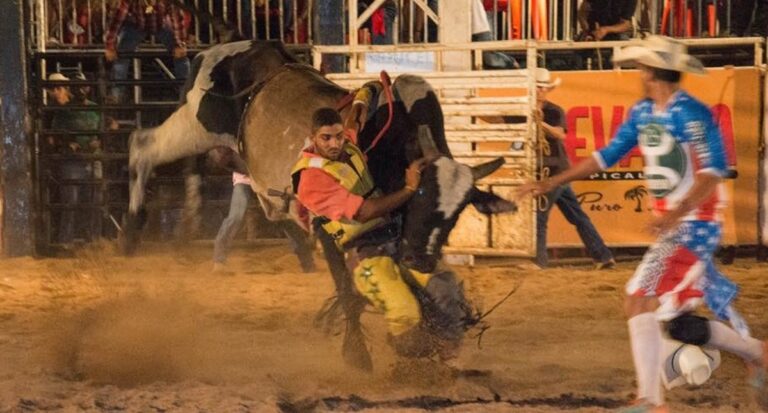Amazon Bull Rider: maior rodeio da Amazônia acontece no Porto Velho Shopping em agosto - News Rondônia