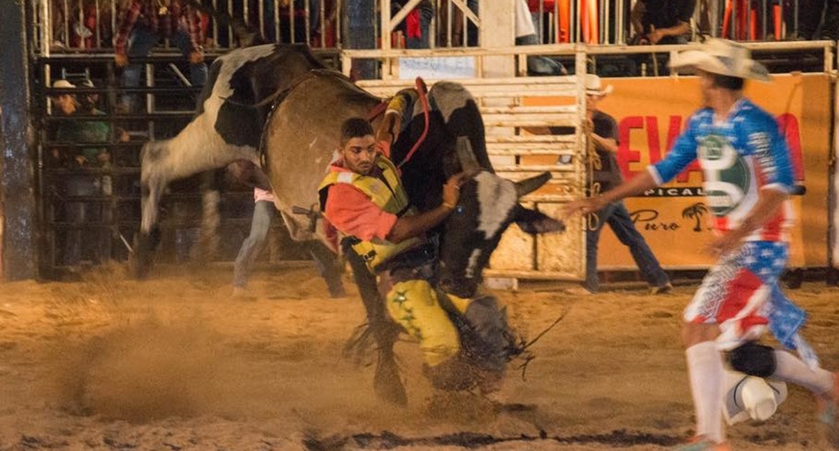 Amazon Bull Rider: maior rodeio da Amazônia acontece no Porto Velho Shopping em agosto - News Rondônia