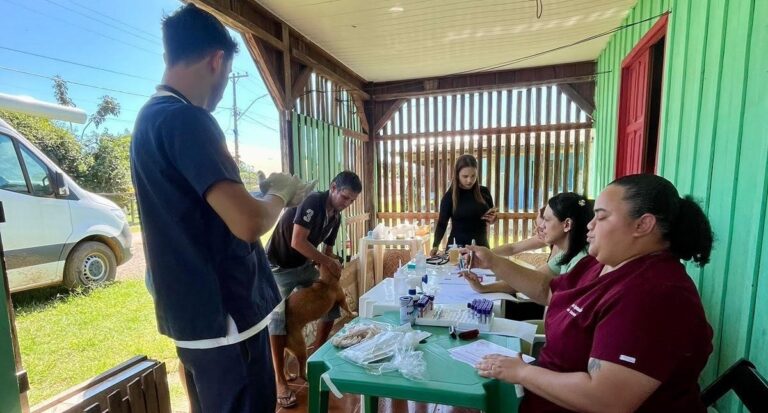 Serviços veterinários são exclusivamente gratuitos para a população de baixa renda - News Rondônia