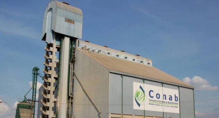 Conab lança piloto de sistema offline para envio de notas fiscais dos produtos extrativos - News Rondônia