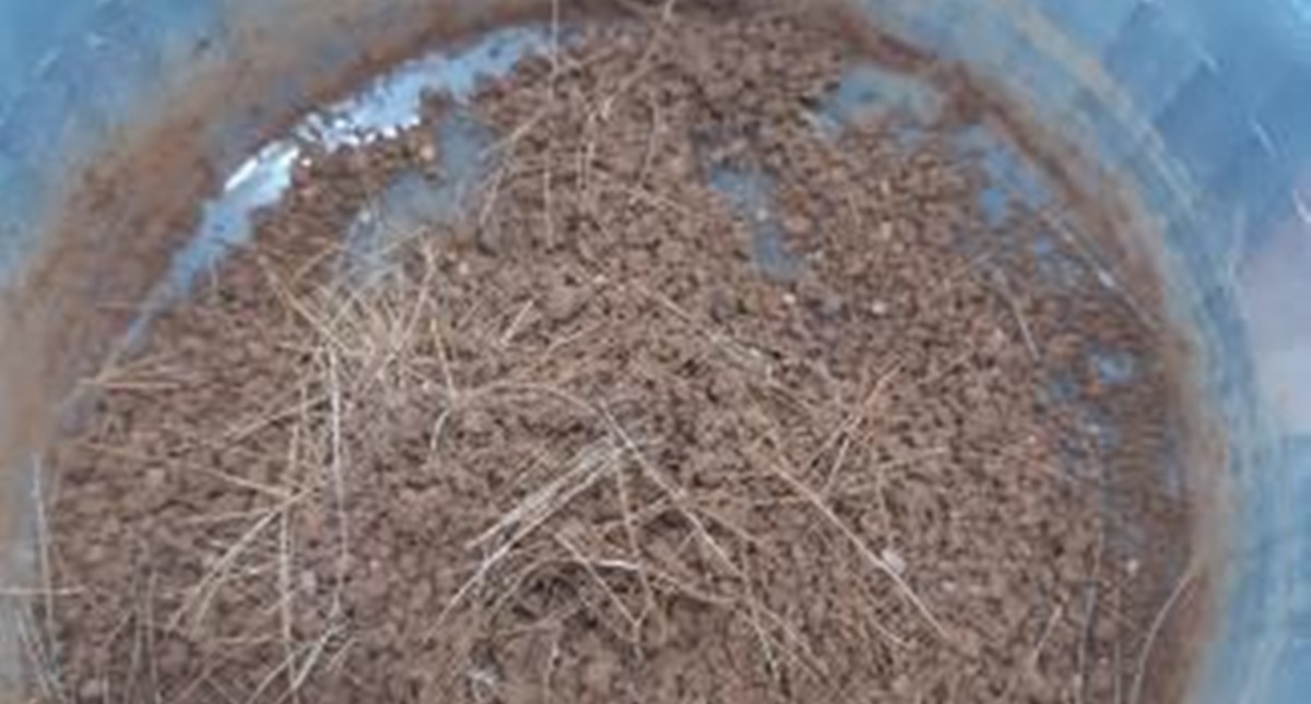 Acadêmicos de Engenharia Civil do IFRO Calama pesquisam a utilização de fibras vegetais amazônicas em argamassas de revestimentos