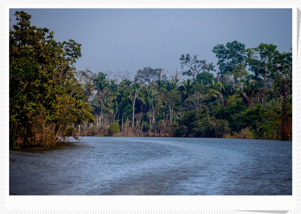 No dia mundial do meio ambiente, fala de Neidinha Suruí ecoa como urgência: “Rondônia tem muito a contribuir para a manutenção do clima e evitar os desastres ambientais futuros” - News Rondônia