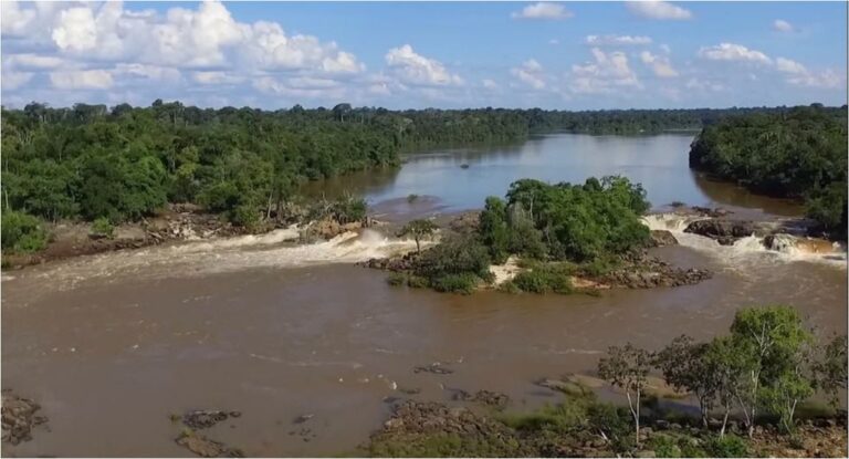 Coluna Espaço Aberto - Polícia Federal descobre golpe milionário em terras invadidas na Amazônia - News Rondônia