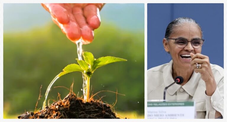 Dia Mundial do Meio Ambiente: Marina Silva pontua os efeitos dos eventos climáticos: “anuncio dias difíceis, sobretudo para famílias vulneráveis” - News Rondônia