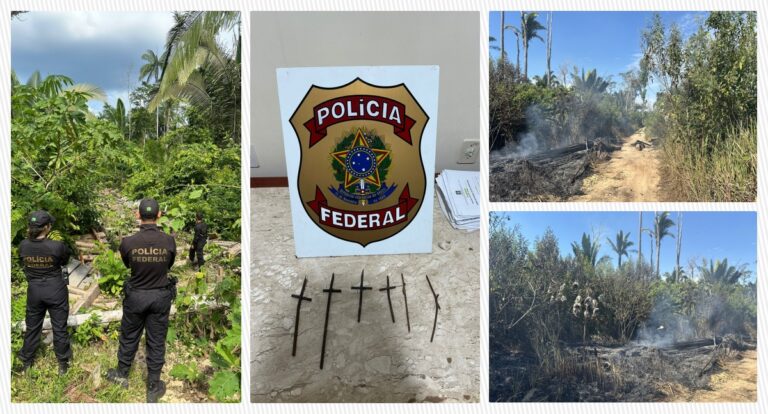PF realiza ação contra crimes ambientais e de grilagem em Rondônia - News Rondônia