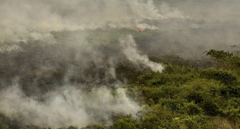 Força Nacional reforça equipe de combate a incêndios no Pantanal - News Rondônia
