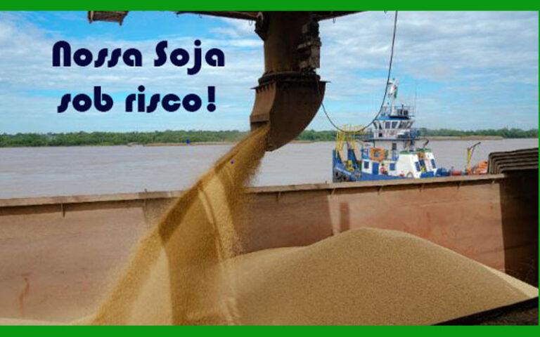 A vergonhosa moratória da soja pode ser prenúncio de que outras áreas da nossa produção poderão também sofrer boicote - News Rondônia
