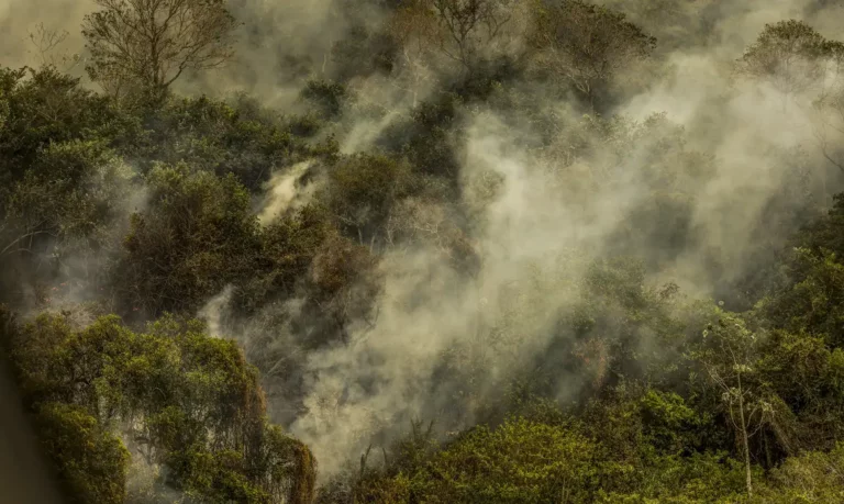 Incêndios podem ter degradado 9% do Pantanal nos últimos cinco anos