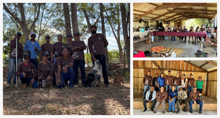Terra e Mata: 3º Módulo da Formação de Coletores aborda a coleta de sementes em altura - News Rondônia