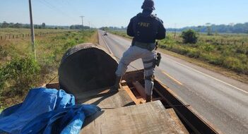 Em Rondônia, PRF finaliza Operação Temática contra Crimes Ambientais - News Rondônia Em Rondônia, PRF finaliza Operação Temática contra Crimes Ambientais