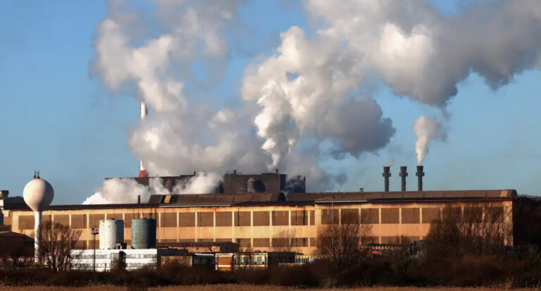 Mercado voluntário de carbono no Brasil recua em 2023