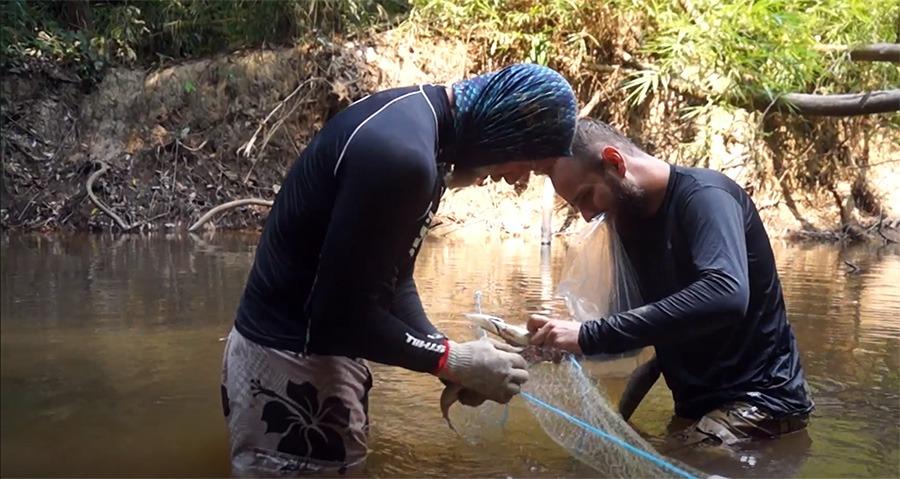 Pesquisa traz os efeitos do desmatamento e ocupações humanas para igarapés e peixes ao longo da BR-319 - News Rondônia Pesquisa traz os efeitos do desmatamento e ocupações humanas para igarapés e peixes ao longo da BR-319 - News Rondônia