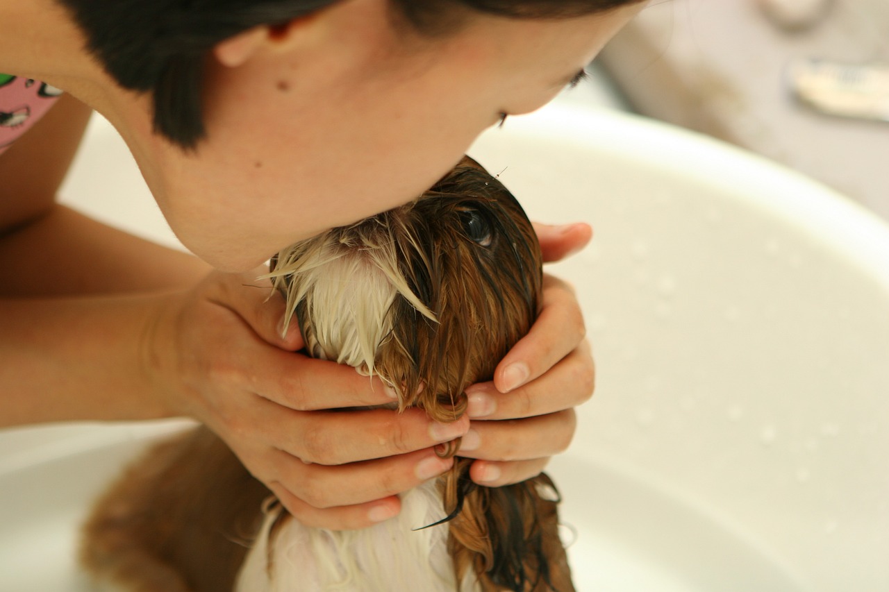 Faça do banho um momento relaxante e prazeroso para os pets - News Rondônia Faça do banho um momento relaxante e prazeroso para os pets - News Rondônia