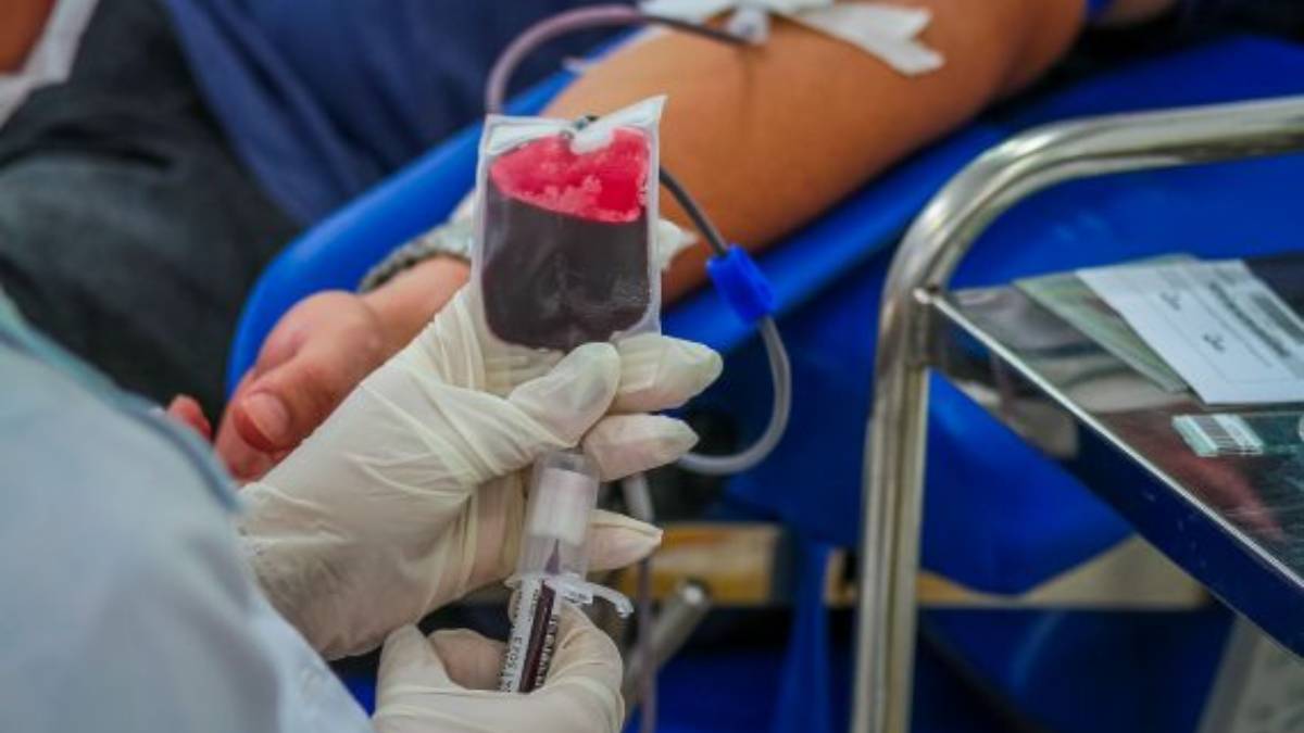 Ação itinerante de coleta de sangue acontece no município de São Miguel do Guaporé, neste sábado, 6 - News Rondônia