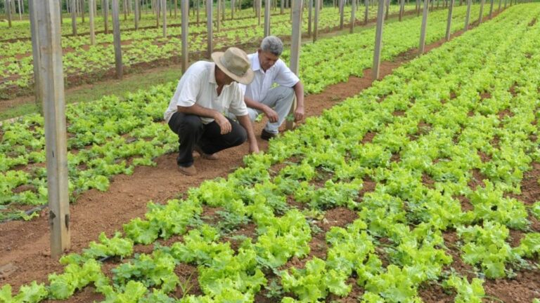 Votação da Alero assegura mais de R$ 5 milhões em recursos para Emater - News Rondônia