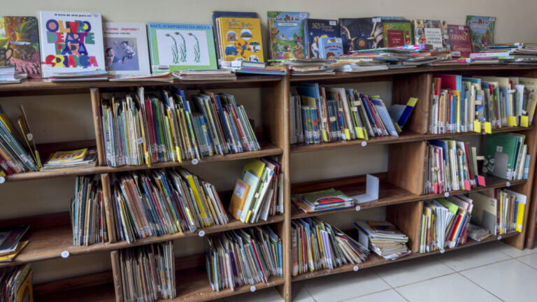 Bibliotecas municipais disponibilizam espaços apropriados e farta literatura infantil para as crianças nas férias escolares - News Rondônia