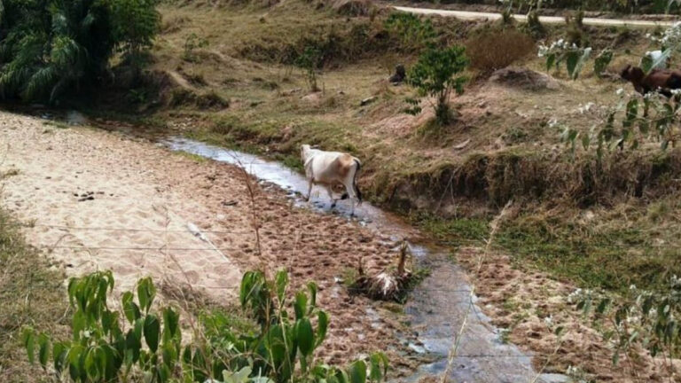 Soluções práticas para o trabalho no campo são destacadas para conservação de água durante estiagem