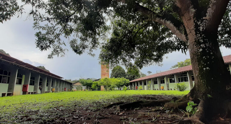 Ninguém se Entende: Indecisão para o Retorno das Aulas Causa Mal-estar entre Universitários da UNIR - News Rondônia