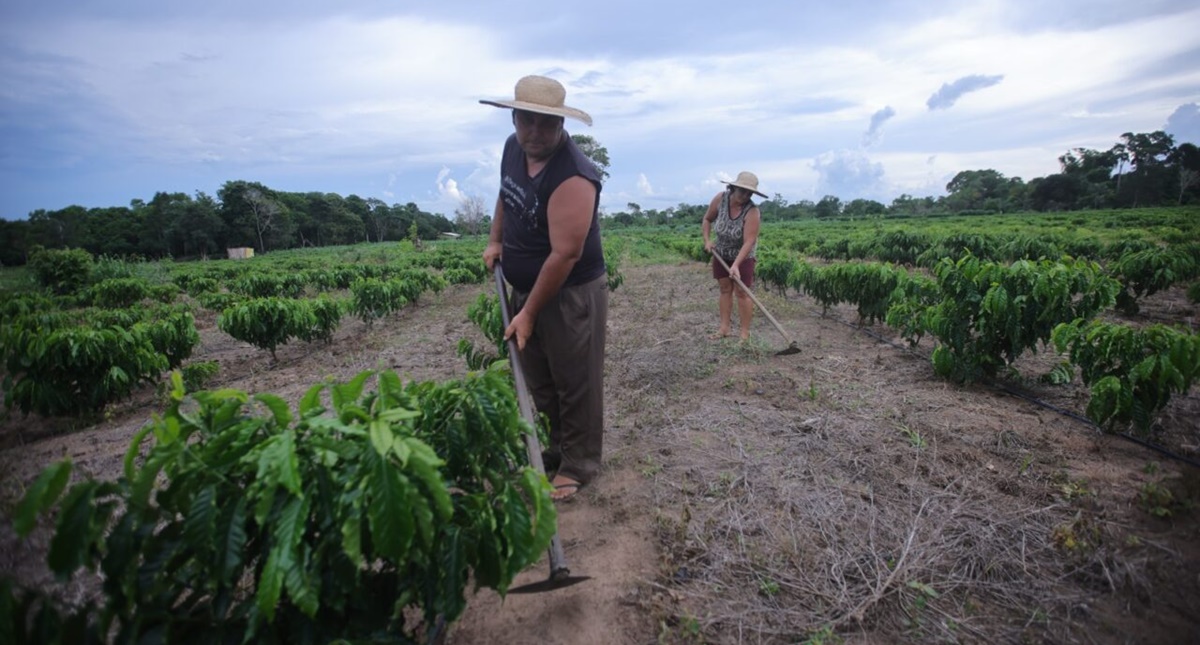 Programa nacional de crédito fundiário garante R$ 4,8 milhões de investimentos na agricultura familiar