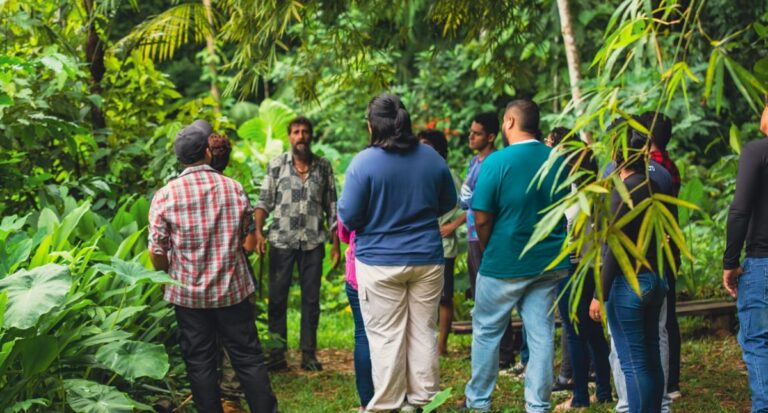 Coletivo ambiental realiza a primeira Imersão em Permacultura de Rondônia
