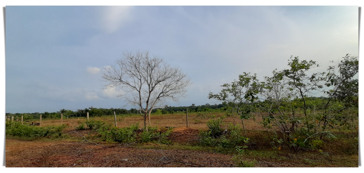 Região Norte: condições atmosféricas pontuam alguns estados com chuva; em Rondônia o cenário continua de secura - News Rondônia