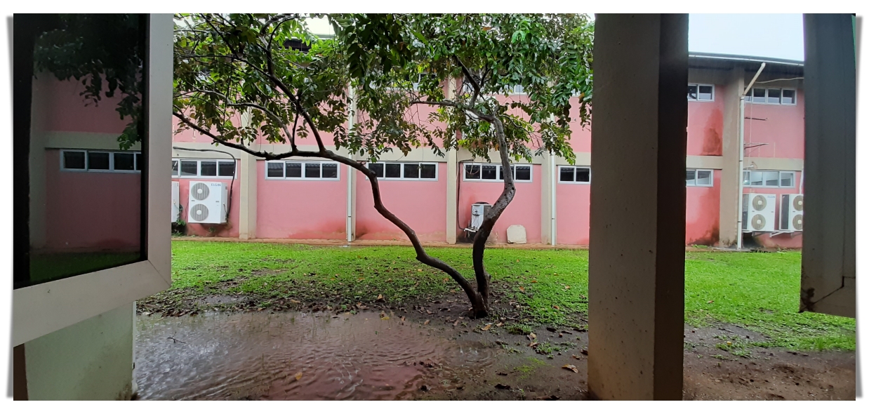 UNIR discute a unificação do calendário acadêmico de 2024.1 e 2024.2 - News Rondônia