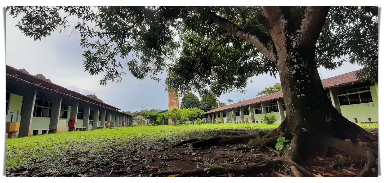 UNIR discute a unificação do calendário acadêmico de 2024.1 e 2024.2 - News Rondônia