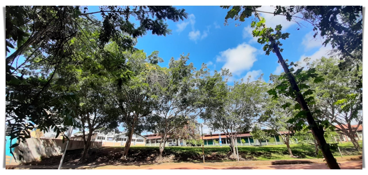 UNIR discute a unificação do calendário acadêmico de 2024.1 e 2024.2 - News Rondônia