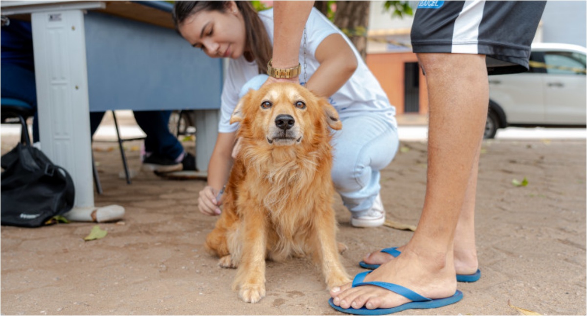 Após caso de raiva em morcego, Prefeitura executa ação de bloqueio com vacinação de animais domésticos