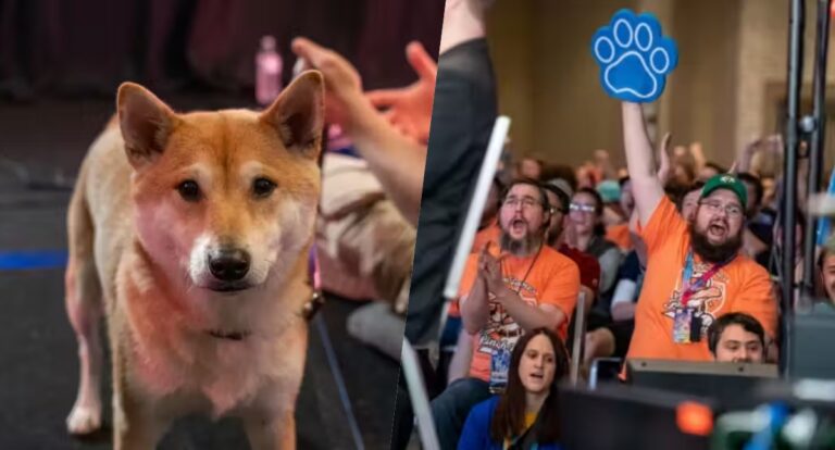 Cão gamer joga videogame para arrecadar fundos para caridade; ele é craque!