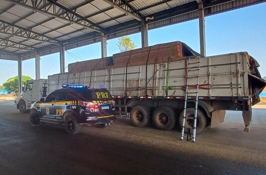 PRF apreende quase 30 m³ de madeira transportada de forma irregular em Ariquemes