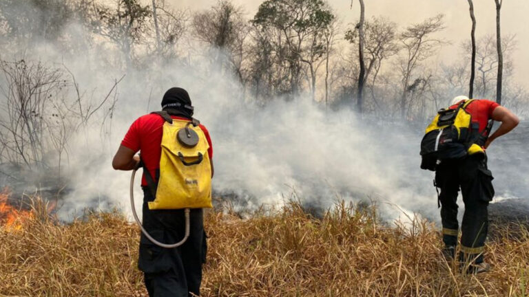 Força-Tarefa do Corpo de Bombeiros combate incêndios florestais em Alvorada do Oeste - News Rondônia